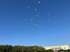 -默迹咖啡馆