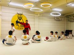-勇气斑马·巴西柔术&跆拳道(浦东三林店)