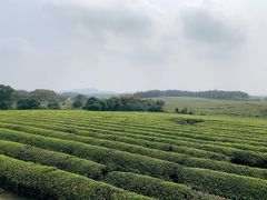-凤凰沟景区