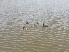-前关湿地公园