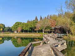 -尚湖风景区