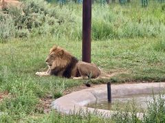-鄂尔多斯野生动物园