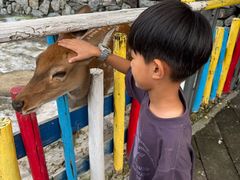 -西部长青自然儿童乐园