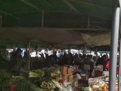 -何庄子阿米玛玛农产品批发市场