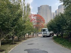 -长白岛森林公园