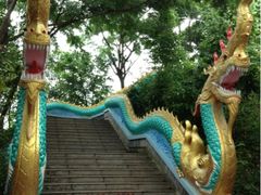 环境-西双版纳勐泐文化旅游区