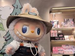 -泡泡玛特POPMART(合生汇店)