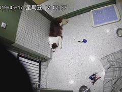 -電力宠物公司(武定路店)