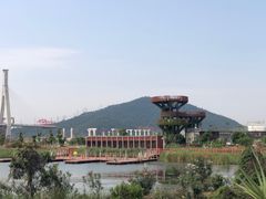 -芒洲湿地公园
