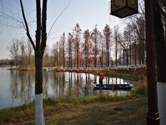 -洋湖国家湿地公园