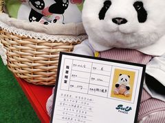-三联韬奋书店(宽窄巷子店)