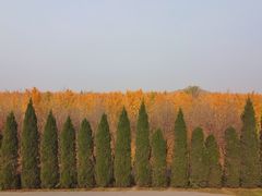 -汉景帝阳陵博物院