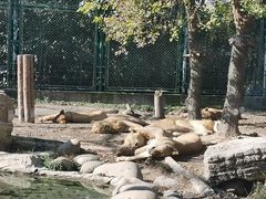 -上海野生动物园
