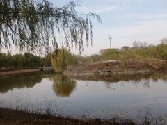5-顺鑫绿色度假村