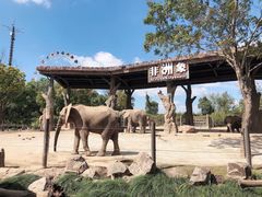 -上海野生动物园