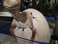 -湖南省地质博物馆