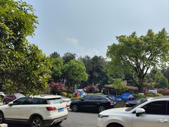 -铁山坪森林公园