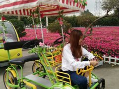 -广东花都香草世界旅游度假区