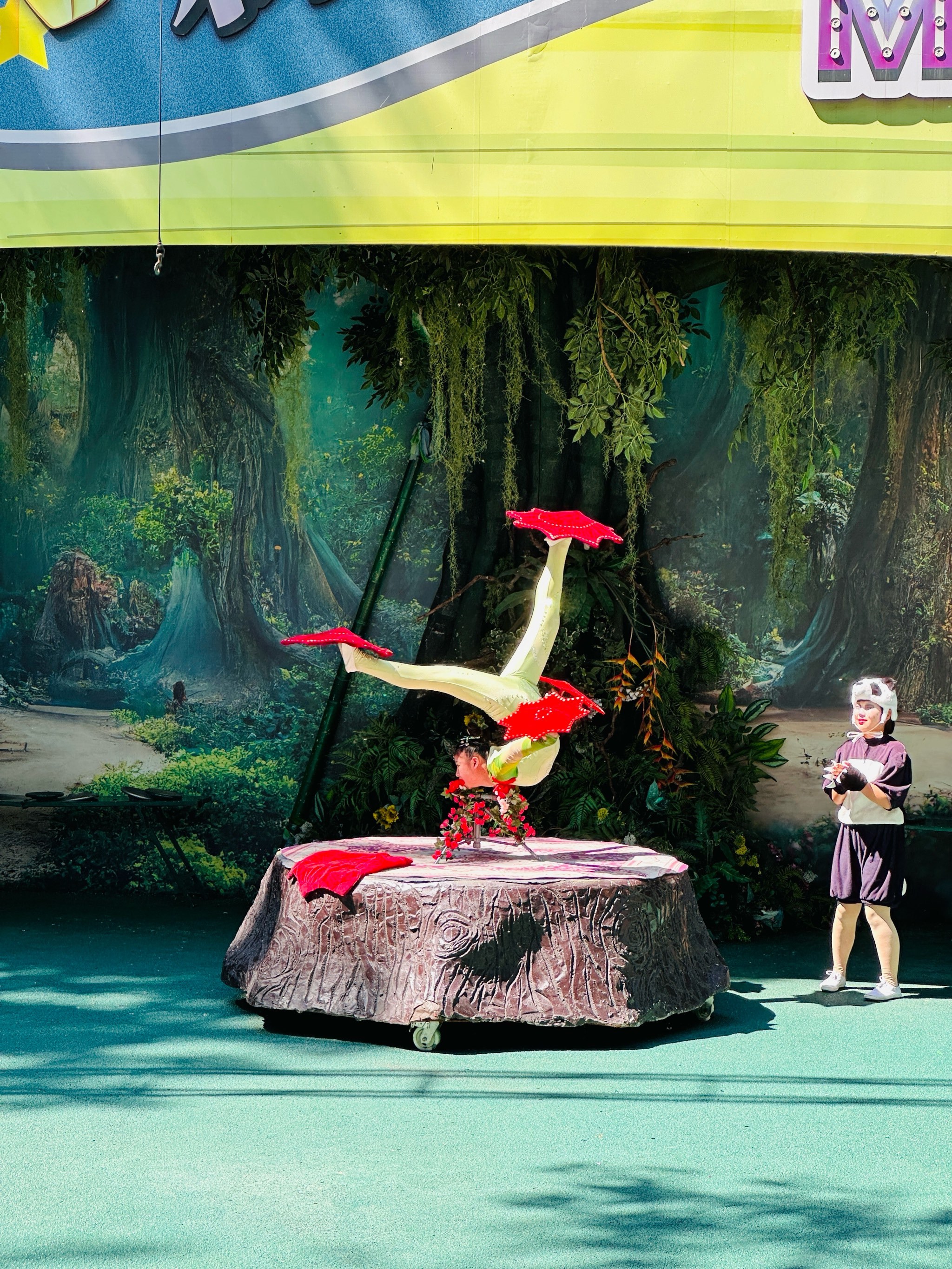 北京野生动物园不可错过的几场演出,快码住!