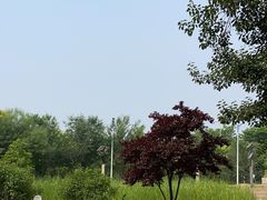 -家乐福(四元桥购物中心店)