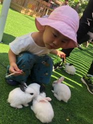 -萌宠亲子动物乐园(槐房万达店)