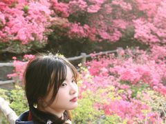 -木兰云雾山