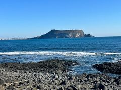 -涉地可支