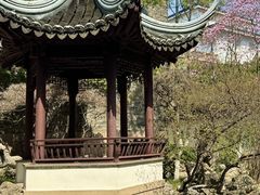 -瑞面(吴宫泛太平洋酒店)