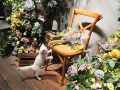 -IFIF 如果花園(宽厚里店)
