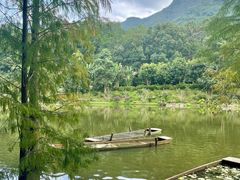 -深圳仙湖植物园