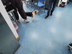 -北京赛佳动物医院