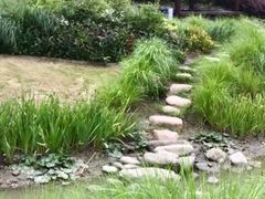 -柳鹭田园区