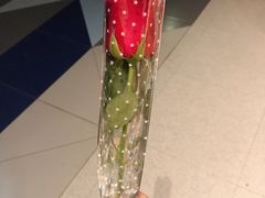 -海底捞火锅(铂澜大象城店)
