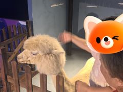 -重庆欢乐海底世界