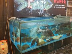 -大张烙馍村(泉山店)