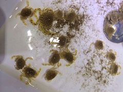 嵊泗基湖沙滩-嵊泗基湖沙滩