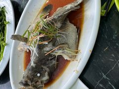 -小海豚•老字号海鲜餐厅(天涯店)