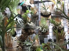 -大水的店(昙华林店)
