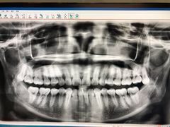 -泰康拜博口腔(世博园乐尔店)