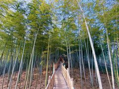 -陶祖圣境风景区
