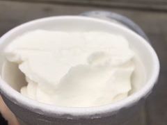 -洪馨椰子