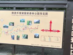 -牛背梁国家森林公园