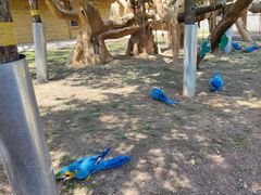 -石家庄市动物园