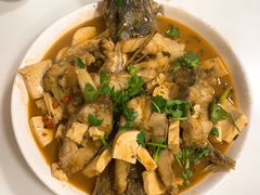 -煲来饱去冷水鱼
