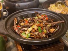 -云海肴·汽锅鸡·云南菜(天山百盛优客店)