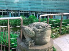 -活水公园