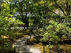 -西芳寺(苔寺)