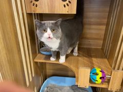 -网鱼电竞·棋牌(五一广场店)