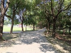 -渔娘蟹庄(阳澄湖莲花岛店)