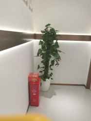 -禾丽康美医疗美容医院